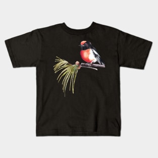 Scarlet Robin Kids T-Shirt